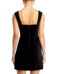 Taylum Sleeveless Velvet Mini Dress - Alice And Olivia -Alice And Olivia 13227811 fpx