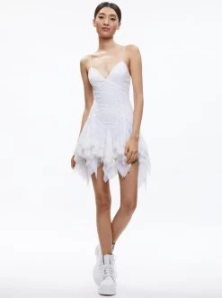 STARA LACE SLIP MINI DRESS -Alice And Olivia CC304703537A100 05