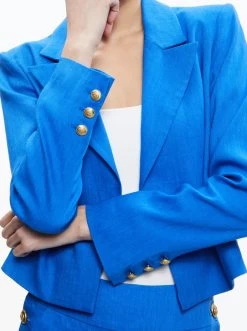 DENNY LINEN CROPPED NOTCH COLLAR BLAZER -Alice And Olivia CC305418202Y400 04