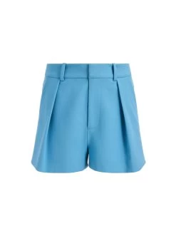 GARY HIGH WAISTED FRONT PLEAT SHORT -Alice And Olivia CC306R01601A490 06