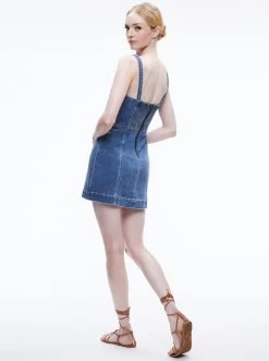 RAYLENE DENIM BUSTIER MINI DRESS