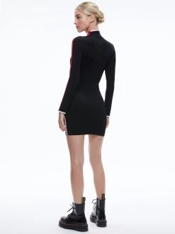 TOYA TURTLENECK DRESS